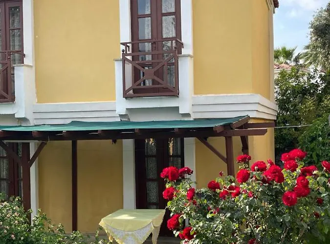 Hotel Alisa *