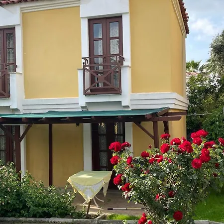Hotel Alisa *